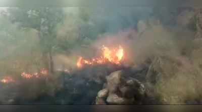 તામિલનાડુઃ જંગલમાં લાગી આગ, 20 વિદ્યાર્થીઓ ફસાયાં, ચારના મોત