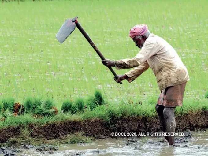 ​‘ಖಾಲಿ ಖಜಾನೆ ತುಂಬಲು ರೈತರಿಂದ ಬಲವಂತದ ಸಾಲ ವಸೂಲಿ’