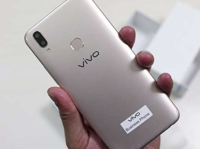 Vivo