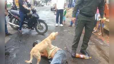 માલિકની રક્ષા કરવા વફાદાર કૂતરો લોકો સામે પડ્યો, પોલીસને પણ ન છોડી