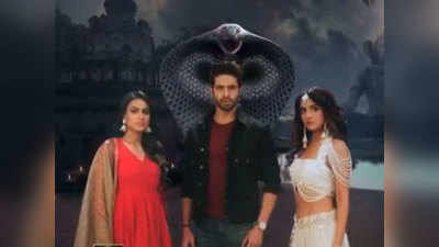 Naagin 4 Update, 25 january 2020: मान्यता को डर, नयनतारा को मार न दे पारिख फैमिली