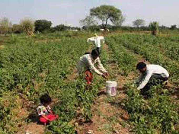 ग्रामीण खपत बढ़ाने पर जोर