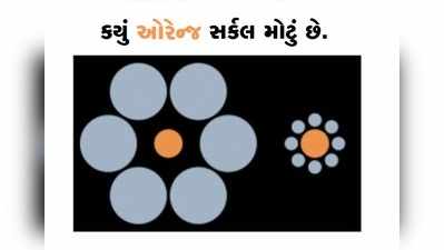 પઝલઃ આ ફોટોમાં ક્યું ઓરેન્જ સર્કલ મોટું છે, જણાવો