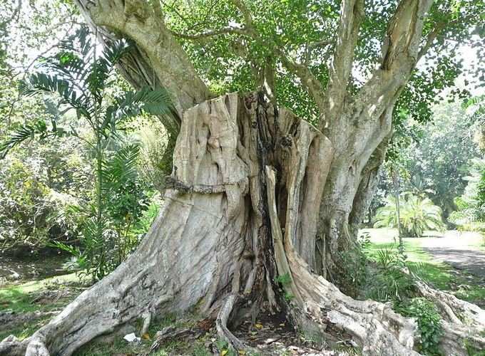 આ ઉપાયથી નહિ આવે કષ્ટ