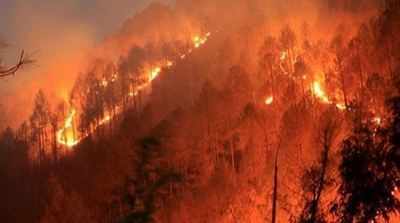 વૈષ્ણો દેવીનાં જંગલોમાં લાગી ભયાનક આગ, હજારો યાત્રાળુ ફસાયા