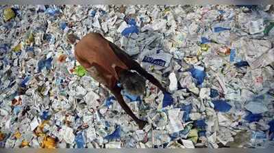 એક અમદાવાદી રોજની સરેરાશ 18 પ્લાસ્ટિકની થેલીઓ કચરામાં નાંખે છે!