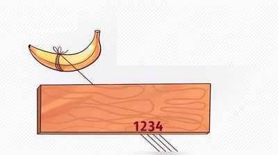 પઝલઃ કેળા સાથે કયા નંબરની દોરી જોડાયેલી છે!