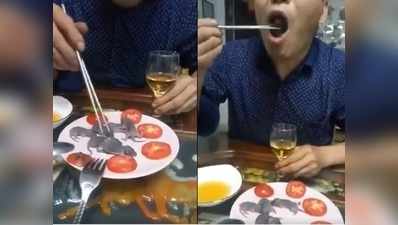 Disturbing Video : ಅಯ್ಯೋ... ಜೀವಂತ ಇಲಿ ಮರಿಗಳನ್ನು ತಿನ್ನುತ್ತಾನೆ ಈತ...!