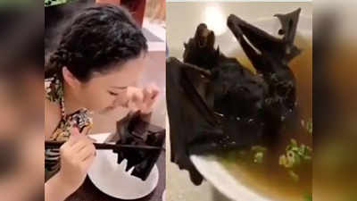 Girl Eating Bat : வவ்வால் சாப்பிடும் சீனப்பெண் -வைரலாகும் வீடியோ