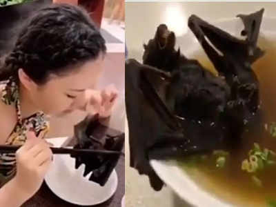 Girl Eating Bat : வவ்வால் சாப்பிடும் சீனப்பெண் -வைரலாகும் வீடியோ