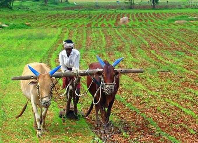 પહેલો જ વરસાદ વાવણી લાયક પડતા ખેડૂતોમાં ખૂશી