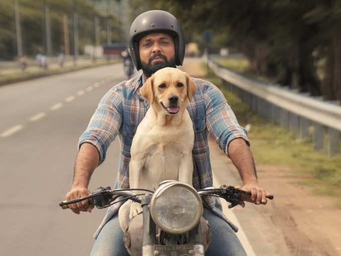 ​ಜನವರಿ 29ರಿಂದ ಶೂಟಿಂಗ್ ಶುರು