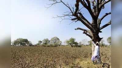 સૌથી ઓછો વરસાદ ધરાવતા રાજ્યોમાં ગુજરાત દેશમાં બીજું, ખેડૂતો ચિંતાતુર