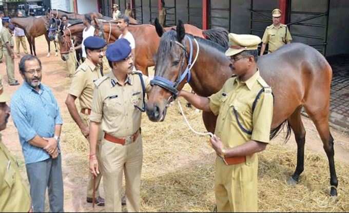 દેશના અન્ય ભાગોમાં ગાયબ થઈ રહ્યા છે અશ્વદળ