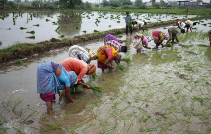 આ તાલુકાઓમાં નથી વરસાદ