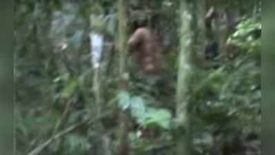 22 વર્ષથી એમેઝોનના ખતરનાક જંગલમાં ઝૂંપડી બનાવી રહે છે આ વ્યક્તિ