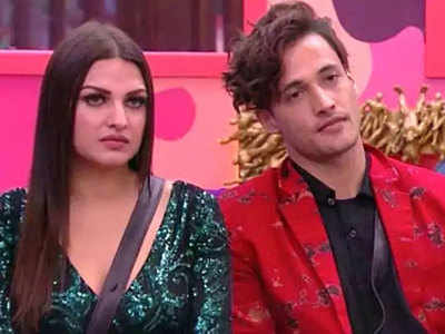 Bigg Boss 13, 28 January 2020 Promo: आसिम ने घुटनों पर बैठकर हिमांशी को क‍िया प्रपोज