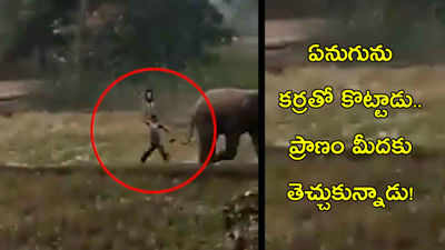 వీడియో: ఏనుగును కర్రతో కొట్టాడు.. ప్రాణం మీదకు తెచ్చుకున్నాడు! 