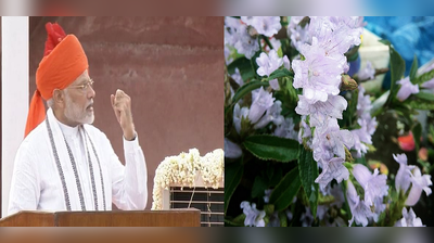 PM મોદીએ ભાષણમાં કર્યો 12 વર્ષમાં એકવાર ઉગતા આ ફૂલનો ઉલ્લેખ