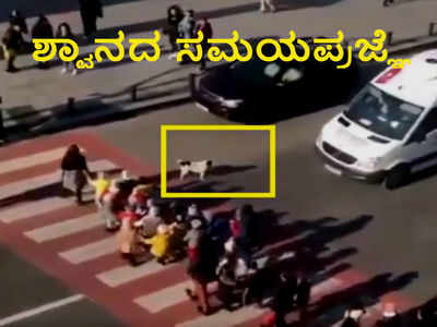 Viral Video : ಮಕ್ಕಳು ಸುರಕ್ಷಿತವಾಗಿ ರಸ್ತೆದಾಟಿಸಿದ ಶ್ವಾನಕ್ಕೆ ಶಹಬ್ಬಾಸ್ ಹೇಳಲೇಬೇಕು