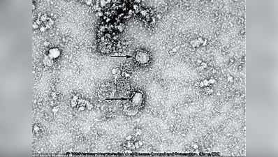 Coronavirus: கொரோனா வைரஸ் - மக்கள் தெரிந்து கொள்ள வேண்டியது என்ன?