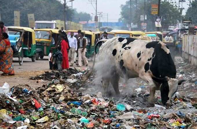 પરફ્યૂમ પર દર મહિને ખર્ચ થશે 75 લાાખ રૂપિયા