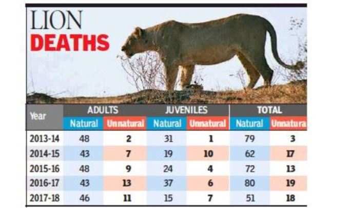 લોહીના નમૂનાની તપાસ