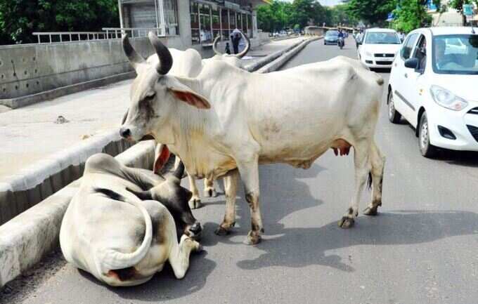 રુપાણીએ એપ્રિલમાં કરી હતી જાહેરાત