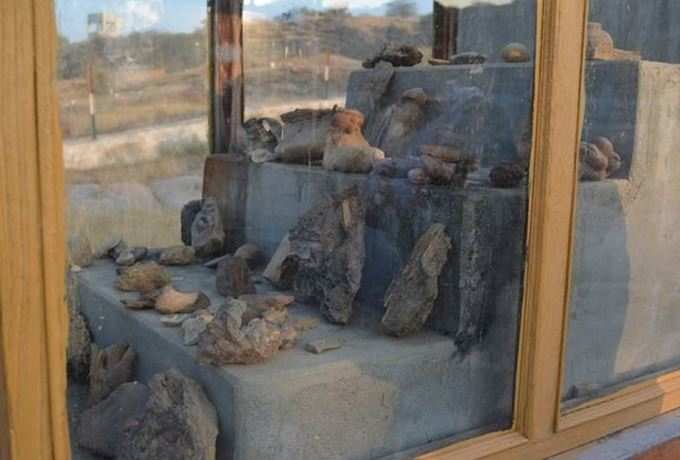આ પહેલા પણ કચ્છમાં મળી આવ્યા છે લાખો-કરોડો વર્ષ જૂના અવશેષો
