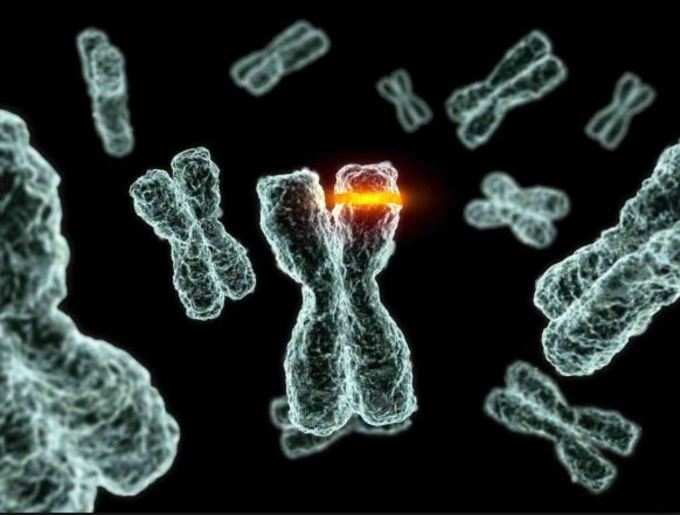 DNA ડેમેજ થાય છેઃ