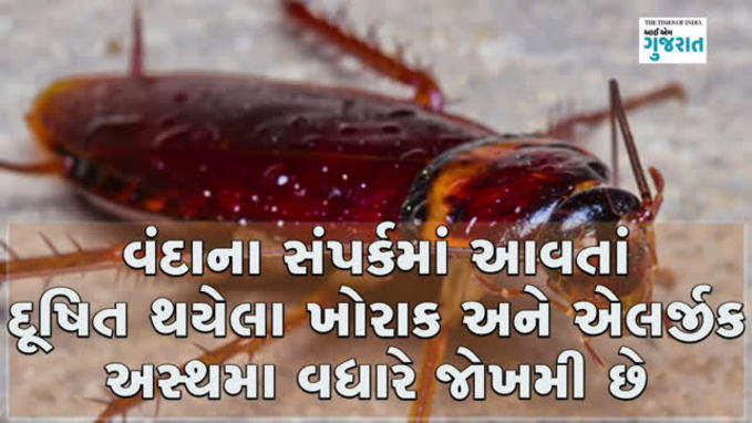 તમારા ઘરમાં જો વંદા ફરતા હોય તો આટલું જાણી લેજો 