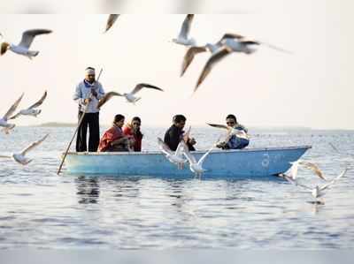 નળ સરોવર સુકાયું તો લખતરના વડલા ગામ ફાયદો!