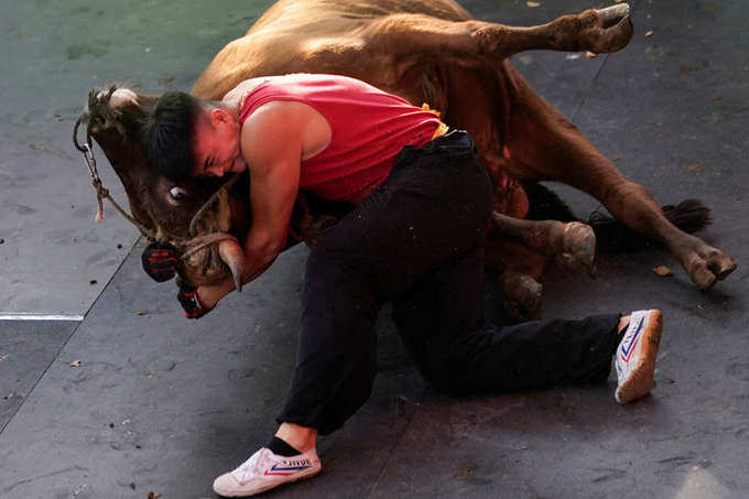 Fighters mix kung fu and bullfighting in China