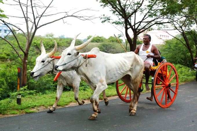 યુવાનોને શરમાવ્યા