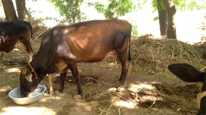 દર મહિને 2 લાખની આવક છે