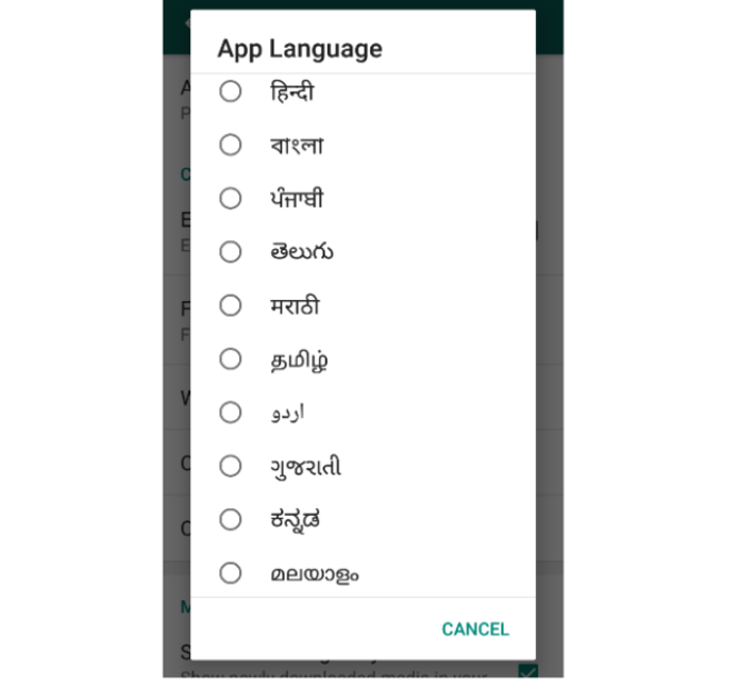 WhatsAppમાં આ રીતે સેટ કરો ભાષા