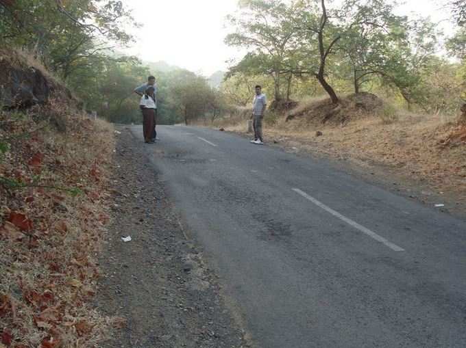 તુલસીશ્યામ