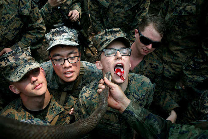 Military exercises: Soldiers drink snake blood, eat scorpion