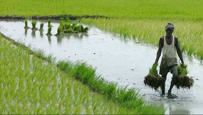 12 કરોડ ખેડૂતોને મળશે યોજનાનો લાભ