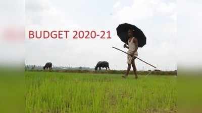 பட்ஜெட் 2020: விவசாயிகளைக் கவரும் பட்ஜெட்!