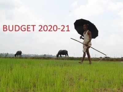 பட்ஜெட் 2020: விவசாயிகளைக் கவரும் பட்ஜெட்!