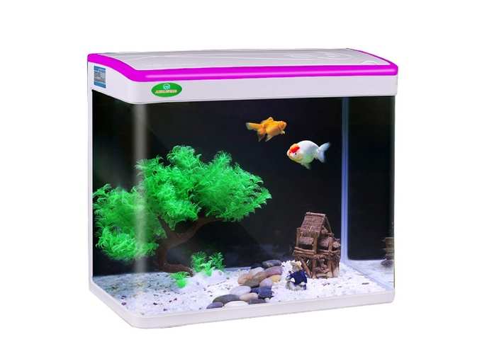 Fish Tank Mini Aquarium Combo