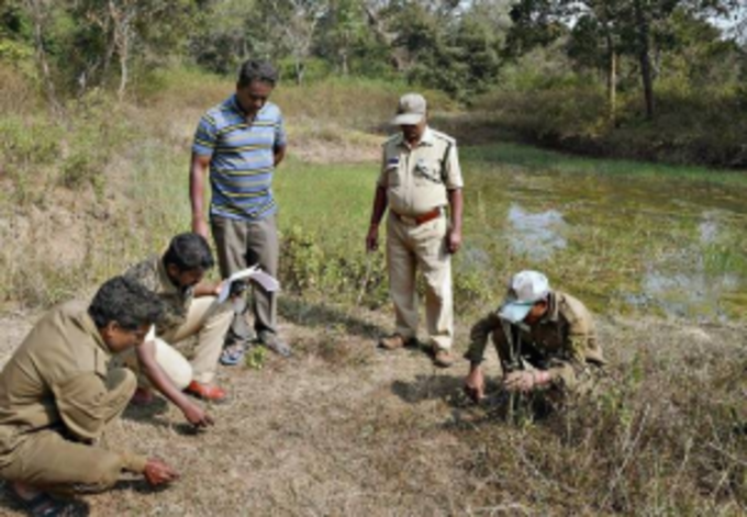 પુષ્ટિ માટે કામે લાગ્યું વન વિભાગ