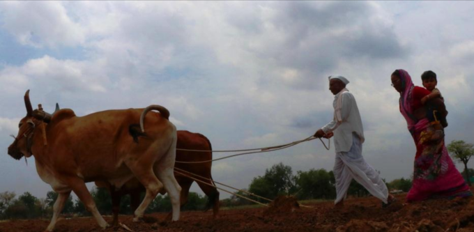 કૃષિલક્ષી યોજનાનું ઉદ્દઘાટન