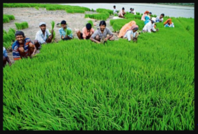 એક વર્ષથી કરી રહ્યા છે ગંદા પાણીનો ઉપયોગ