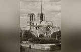 ​Historical facts about Notre-Dame Cathedral​