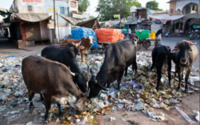 ઓપરેશન કરી કઢાયો કચરો