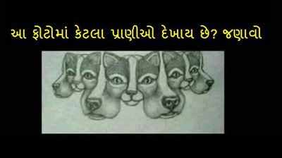 પઝલઃ આ ફોટોમાં તમને કેટલા પ્રાણીઓ દેખાય છે?