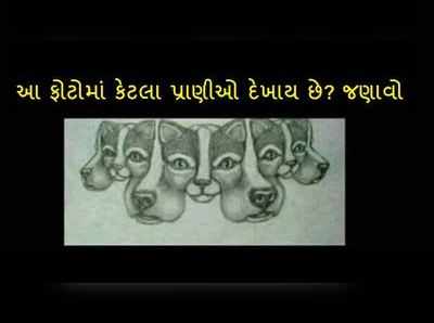 પઝલઃ આ ફોટોમાં તમને કેટલા પ્રાણીઓ દેખાય છે? 