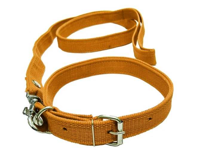 Dog Dog Collar &amp; Leash (Medium, Multi Color)